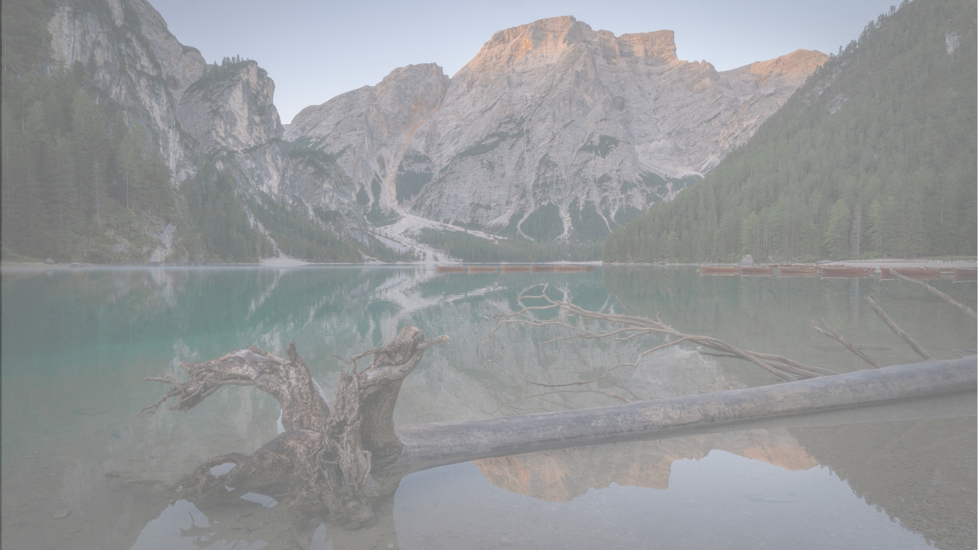 Before — flat log footage